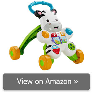 Fisher-Price Learn with Me Zebra Walker review