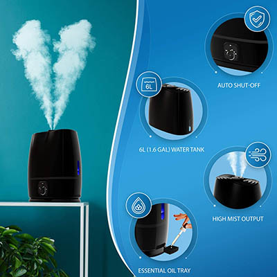 Everlasting Comfort Humidifier – Best Storage and Durability